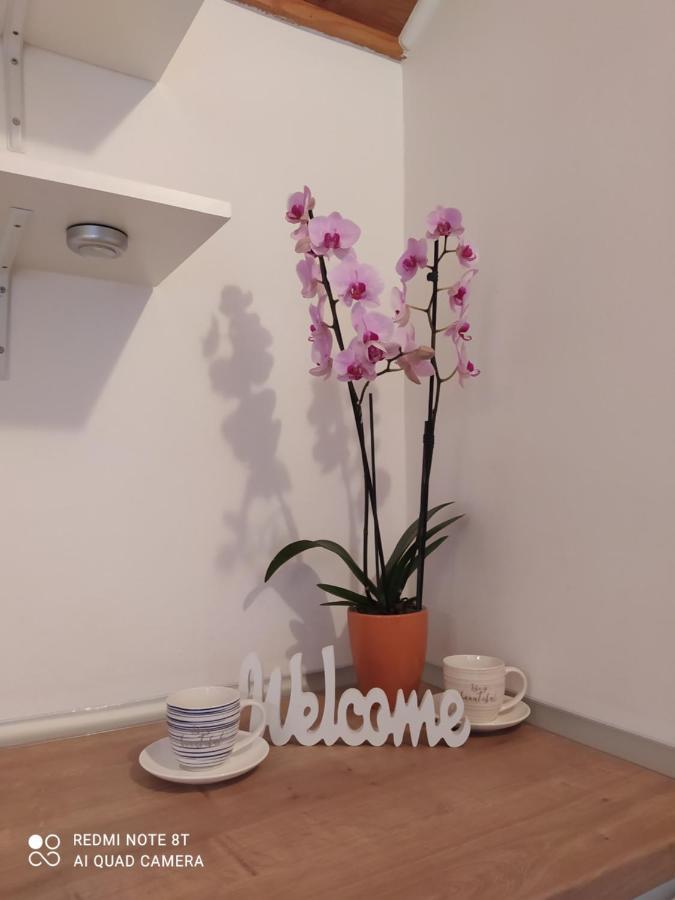 Apartments Ante Tribalj Εξωτερικό φωτογραφία