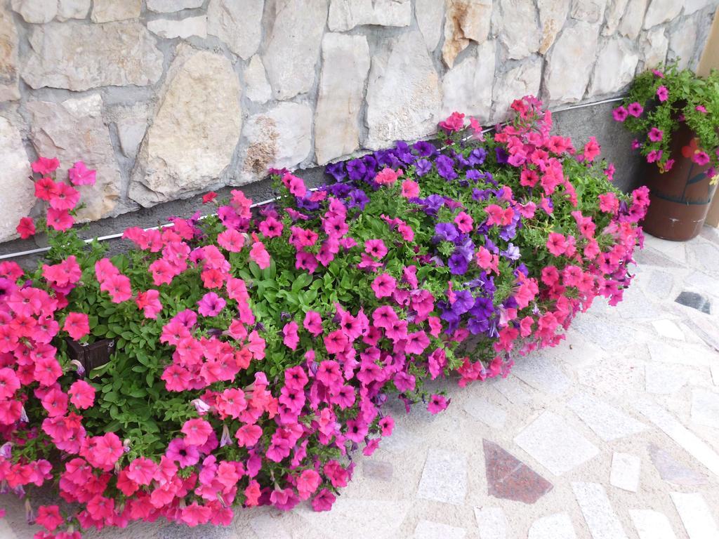 Apartments Ante Tribalj Εξωτερικό φωτογραφία