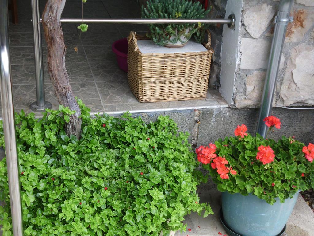 Apartments Ante Tribalj Εξωτερικό φωτογραφία